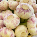 Värske küüslauk 0,5 kg