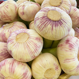 Värske küüslauk 0,5 kg