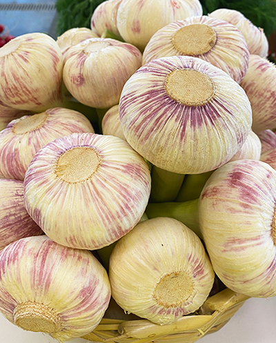 Värske küüslauk 0,5 kg