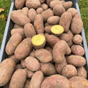 579926450_809941428707497_855016000000253049_n