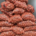 Kartul "Laura" 25 kg